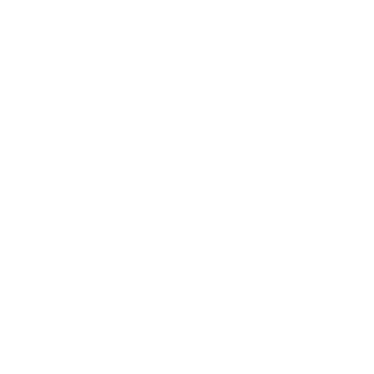 REBA Budget Icon