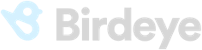 birdeye logo